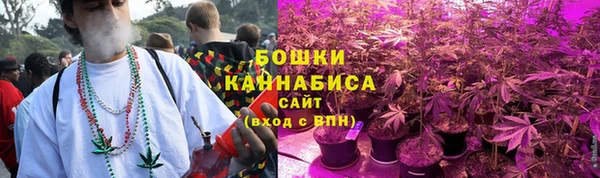 PSILOCYBIN Армянск