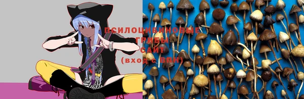 метадон Арсеньев